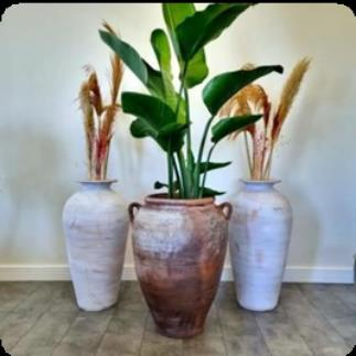 Tribal Heritage Trio