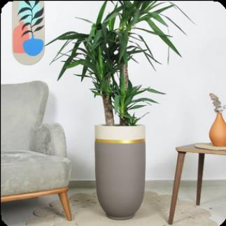 Aura Banded Tall Vessel (Krem)