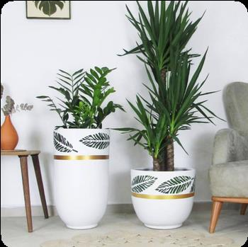 Aura Banded Tall Vessel - Set 1