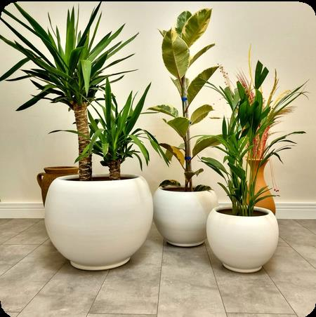 Aura Sphere Trio (Beyaz)